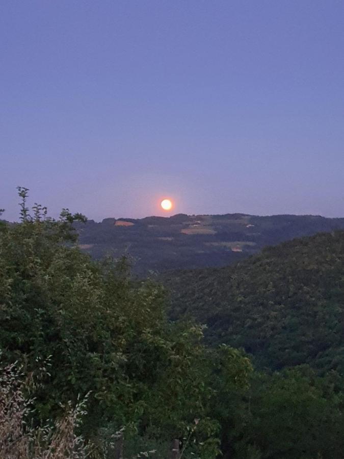 Cascina Brichat Alta Langa Serravalle delle Langhe Exteriör bild